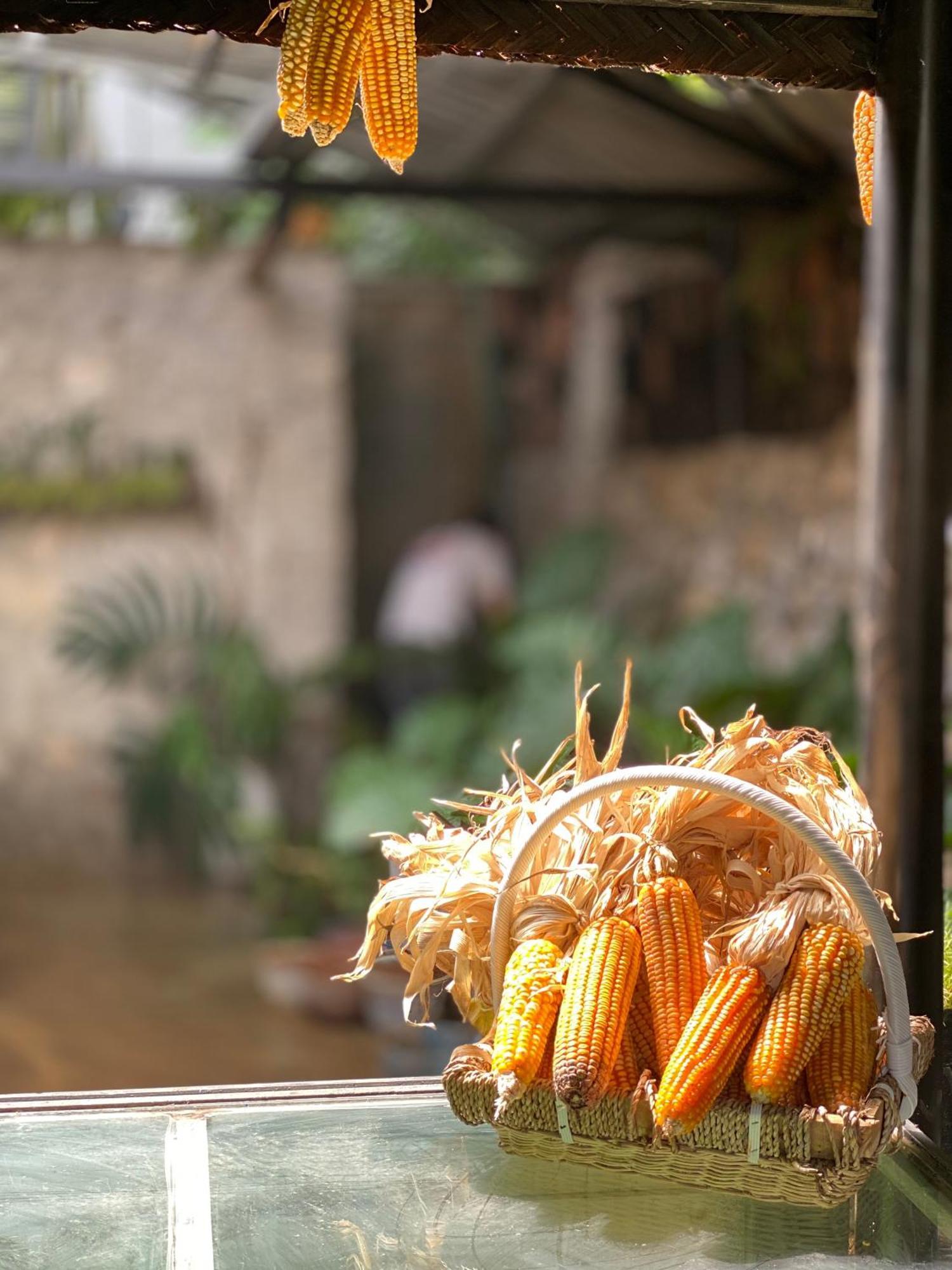 Le Petit Home Đồng Văn Esterno foto