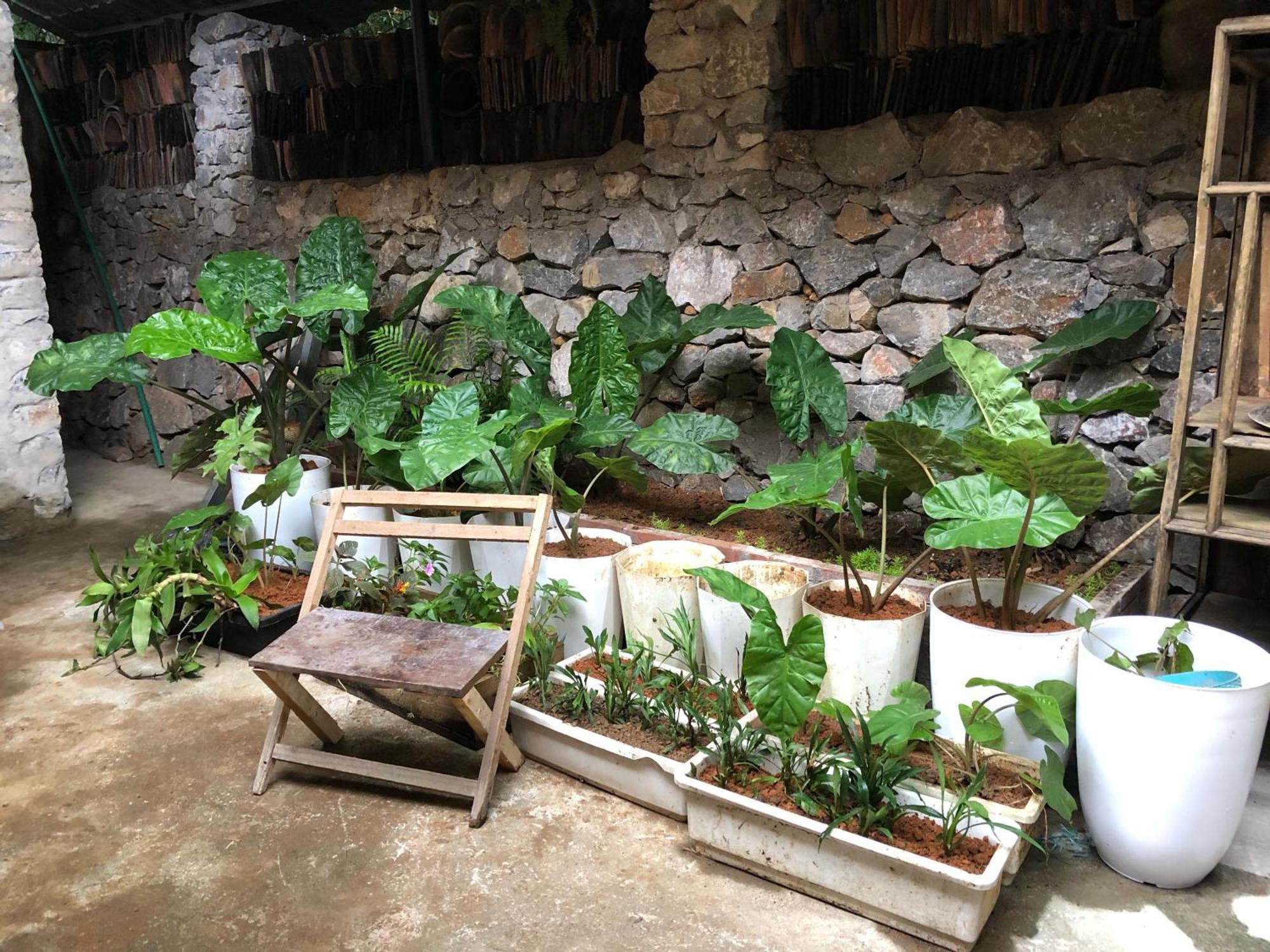 Le Petit Home Đồng Văn Esterno foto