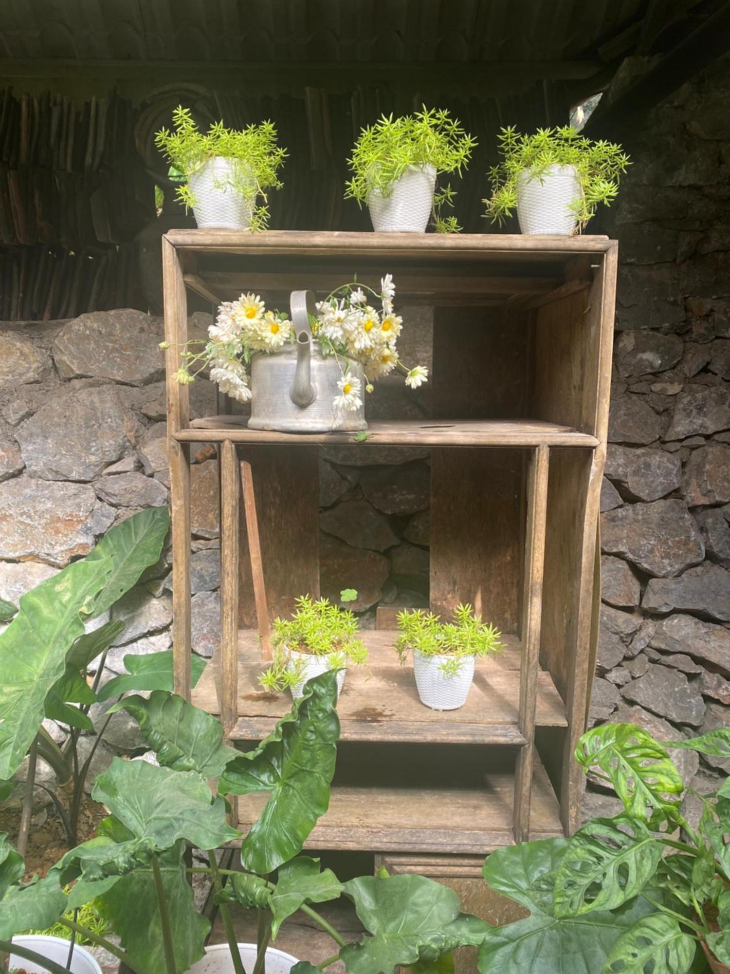 Le Petit Home Đồng Văn Esterno foto
