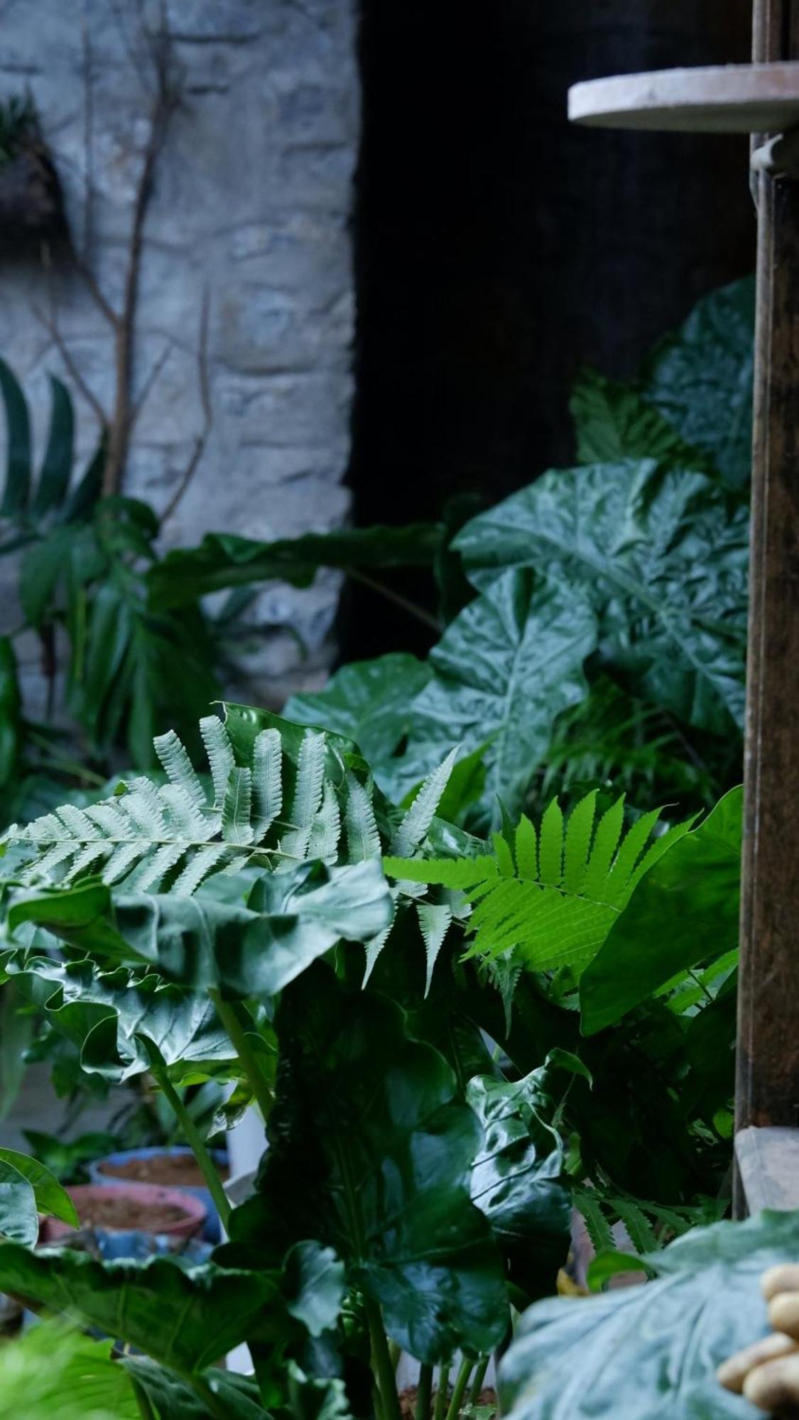 Le Petit Home Đồng Văn Esterno foto