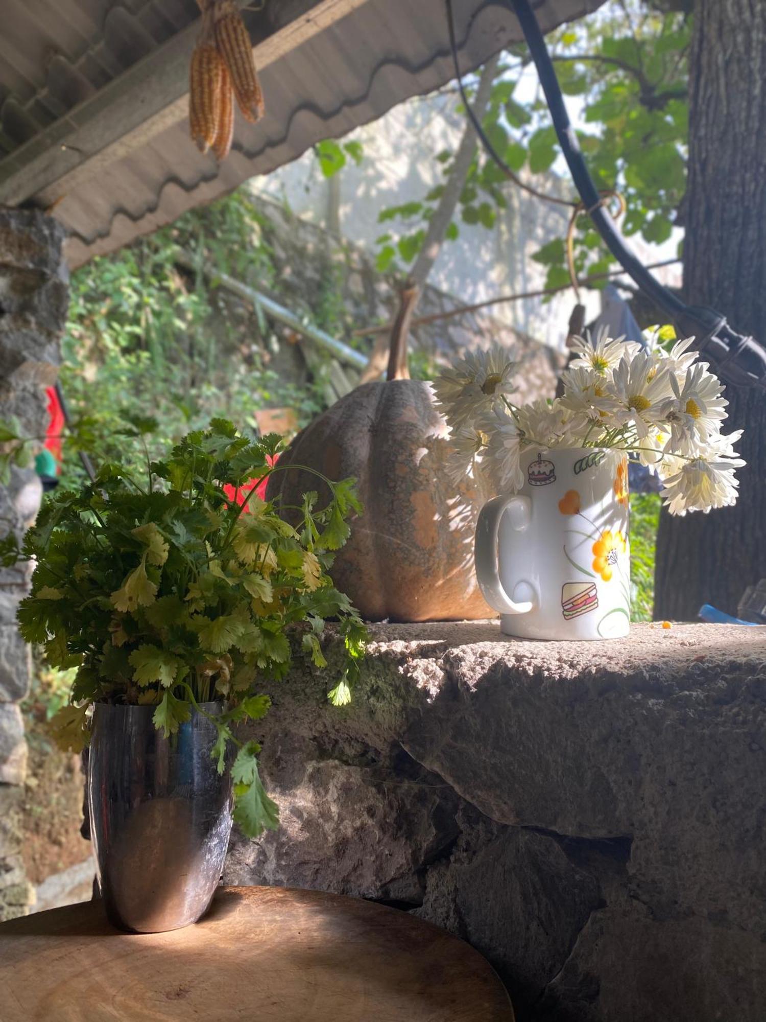 Le Petit Home Đồng Văn Esterno foto